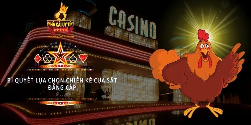 Bí quyết lựa chọn chiến kê cựa sắt đẳng cấp