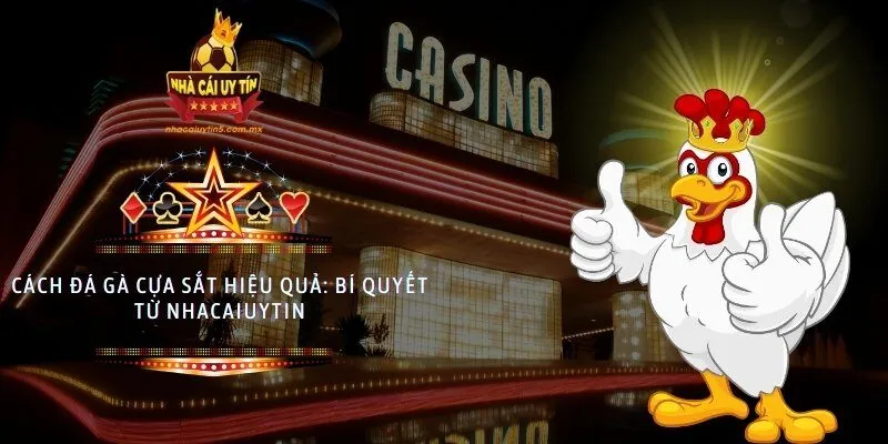 Đá gà cựa sắt