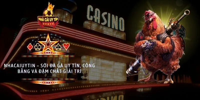 Nhacaiuytin – sới đá gà uy tín, công bằng và đậm chất giải trí