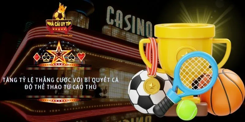 Tăng tỷ lệ thắng cược với bí quyết cá độ thể thao từ cao thủ